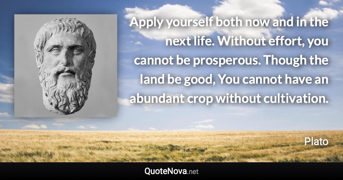 Apply yourself both now and in the next life. Without effort, you cannot be prosperous. Though the land be good, You cannot have an abundant crop without cultivation. - Plato quote