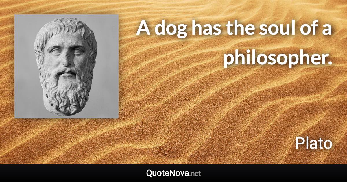 A dog has the soul of a philosopher. - Plato quote