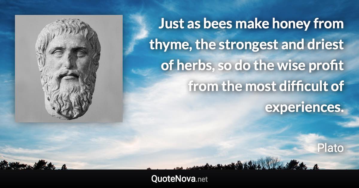 Just as bees make honey from thyme, the strongest and driest of herbs, so do the wise profit from the most difficult of experiences. - Plato quote