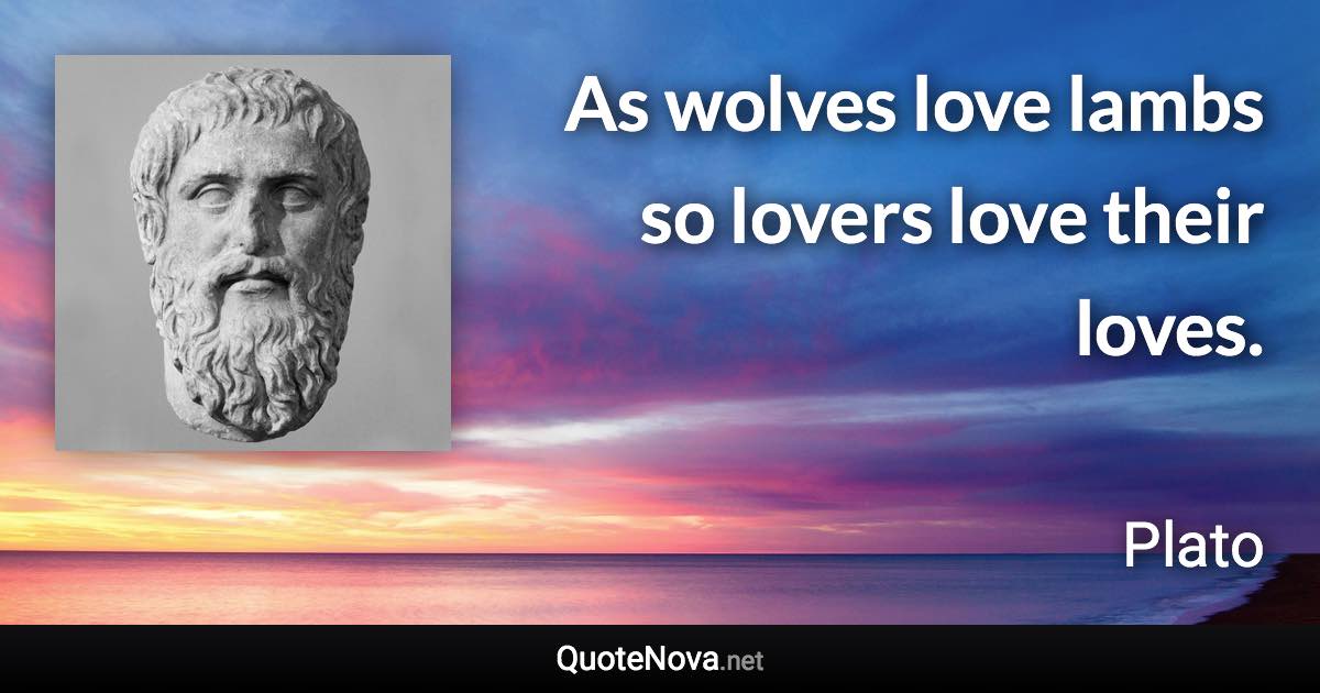 As wolves love lambs so lovers love their loves. - Plato quote