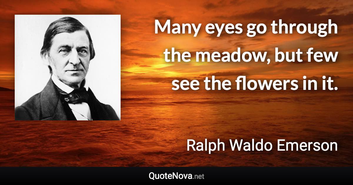 Many eyes go through the meadow, but few see the flowers in it. - Ralph Waldo Emerson quote
