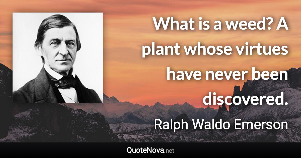 What is a weed? A plant whose virtues have never been discovered. - Ralph Waldo Emerson quote