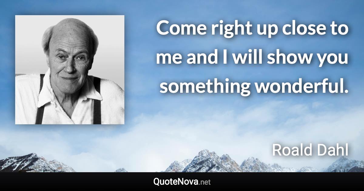 Come right up close to me and I will show you something wonderful. - Roald Dahl quote