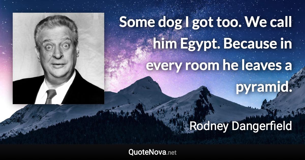 Some dog I got too. We call him Egypt. Because in every room he leaves a pyramid. - Rodney Dangerfield quote