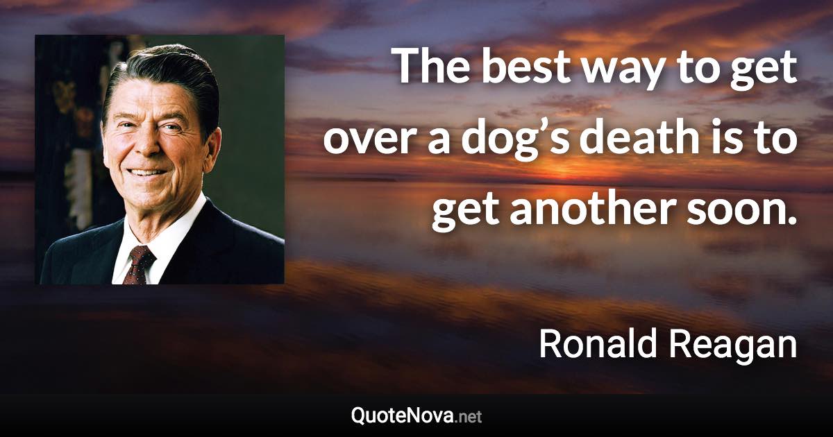 The best way to get over a dog’s death is to get another soon. - Ronald Reagan quote