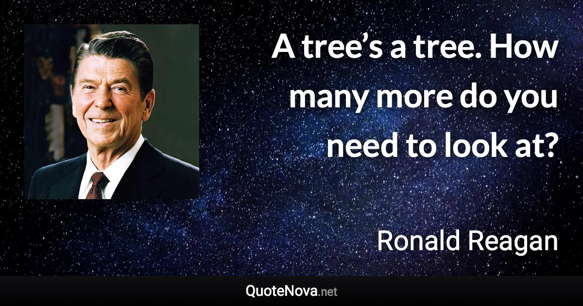 A tree’s a tree. How many more do you need to look at? - Ronald Reagan quote