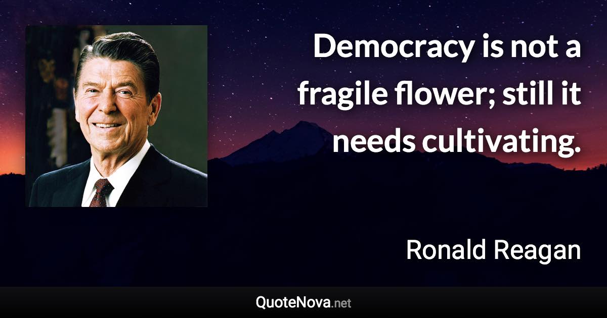 Democracy is not a fragile flower; still it needs cultivating. - Ronald Reagan quote