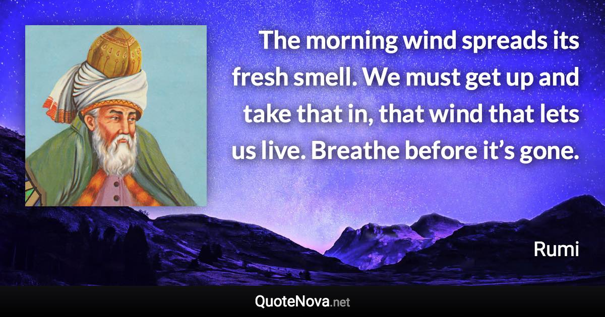 The morning wind spreads its fresh smell. We must get up and take that in, that wind that lets us live. Breathe before it’s gone. - Rumi quote