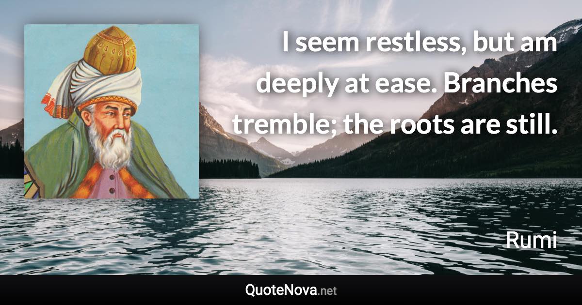 I seem restless, but am deeply at ease. Branches tremble; the roots are still. - Rumi quote