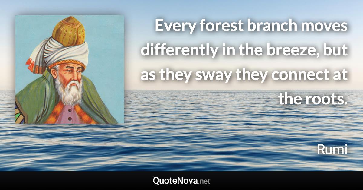 Every forest branch moves differently in the breeze, but as they sway they connect at the roots. - Rumi quote