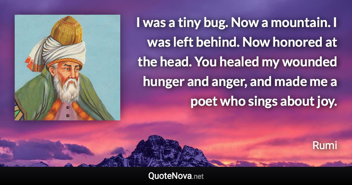 I was a tiny bug. Now a mountain. I was left behind. Now honored at the head. You healed my wounded hunger and anger, and made me a poet who sings about joy. - Rumi quote