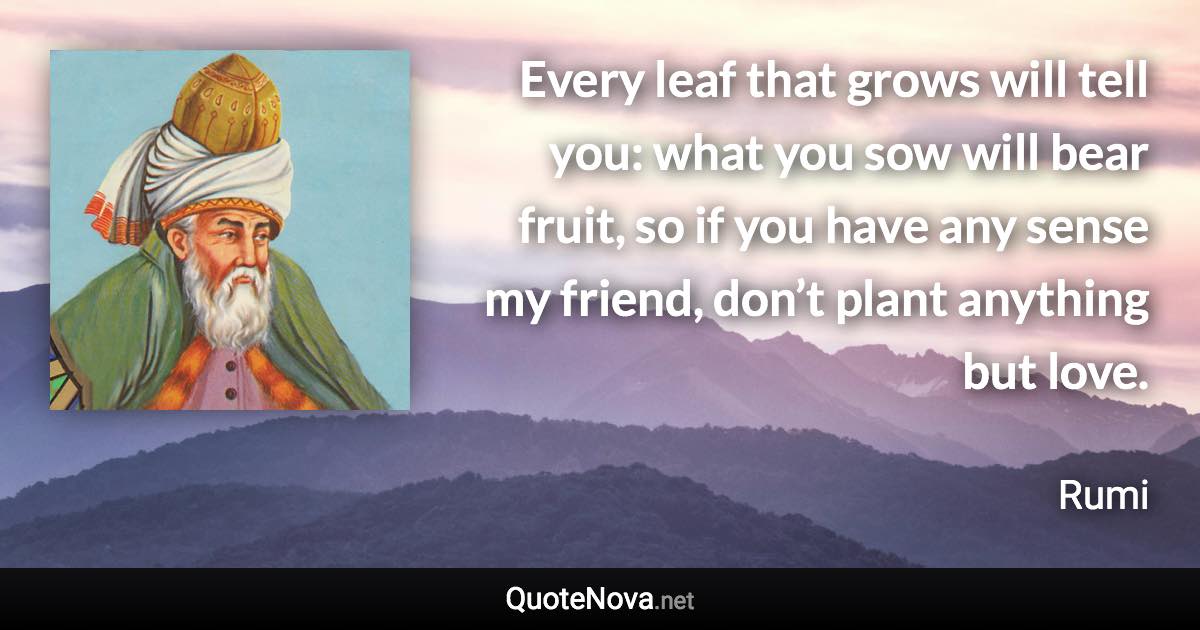 Every leaf that grows will tell you: what you sow will bear fruit, so if you have any sense my friend, don’t plant anything but love. - Rumi quote