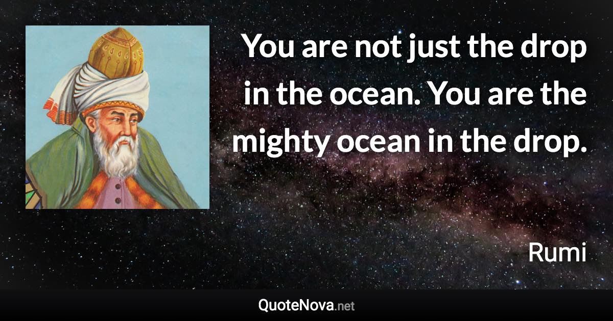 You are not just the drop in the ocean. You are the mighty ocean in the drop. - Rumi quote