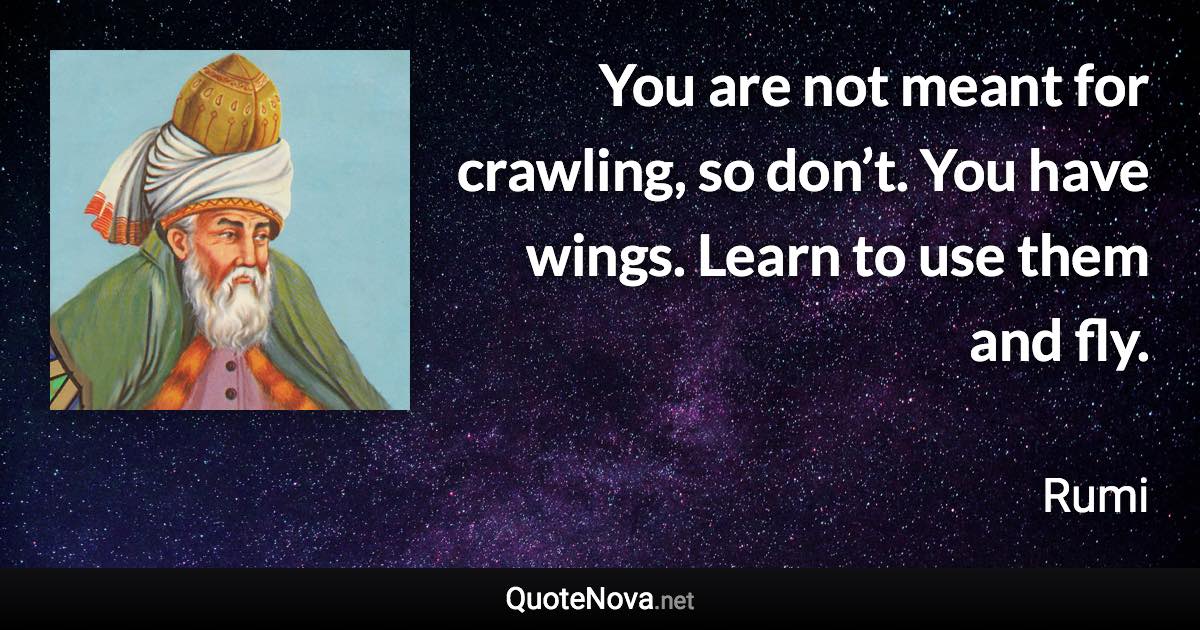 You are not meant for crawling, so don’t. You have wings. Learn to use them and fly. - Rumi quote