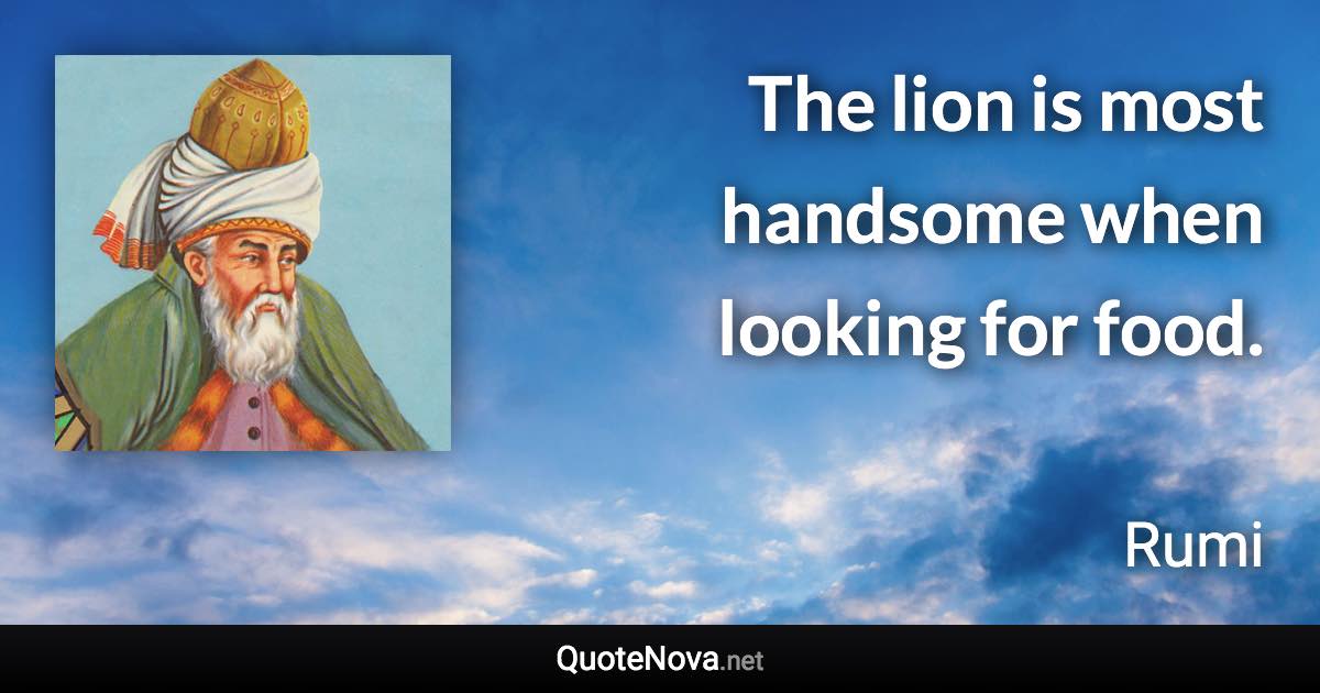 The lion is most handsome when looking for food. - Rumi quote