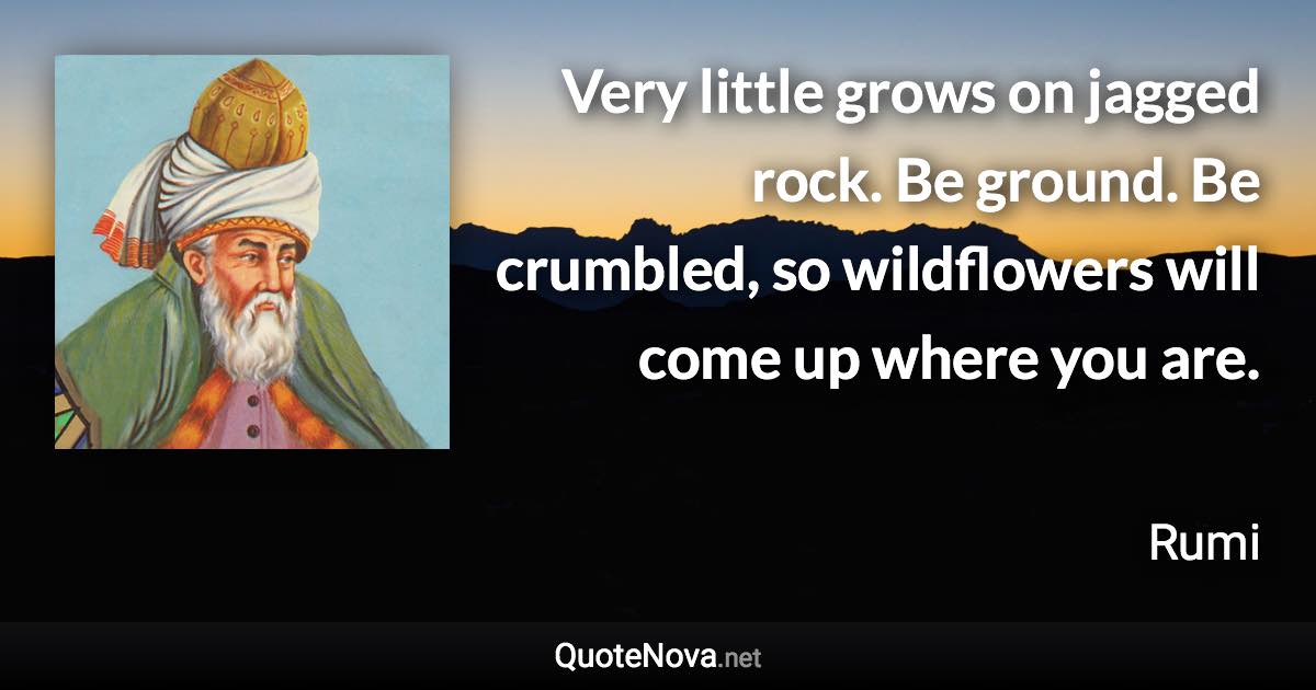 Very little grows on jagged rock. Be ground. Be crumbled, so wildflowers will come up where you are. - Rumi quote