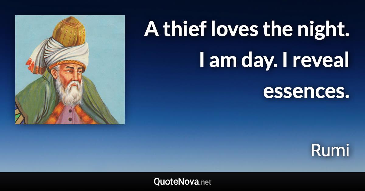 A thief loves the night. I am day. I reveal essences. - Rumi quote