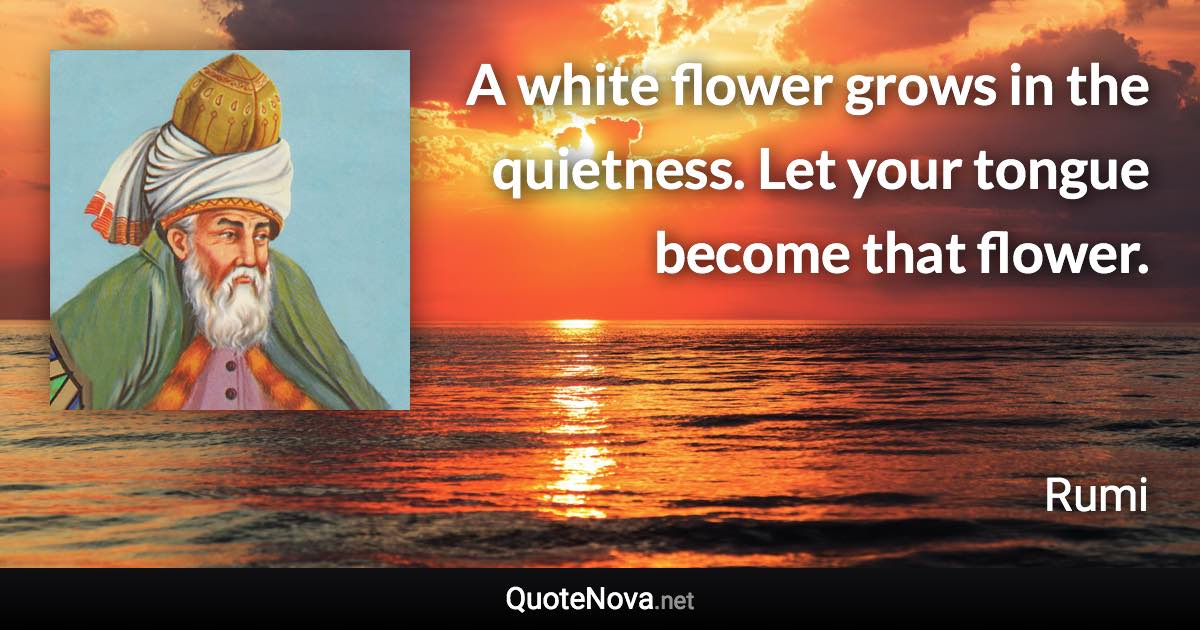 A white flower grows in the quietness. Let your tongue become that flower. - Rumi quote