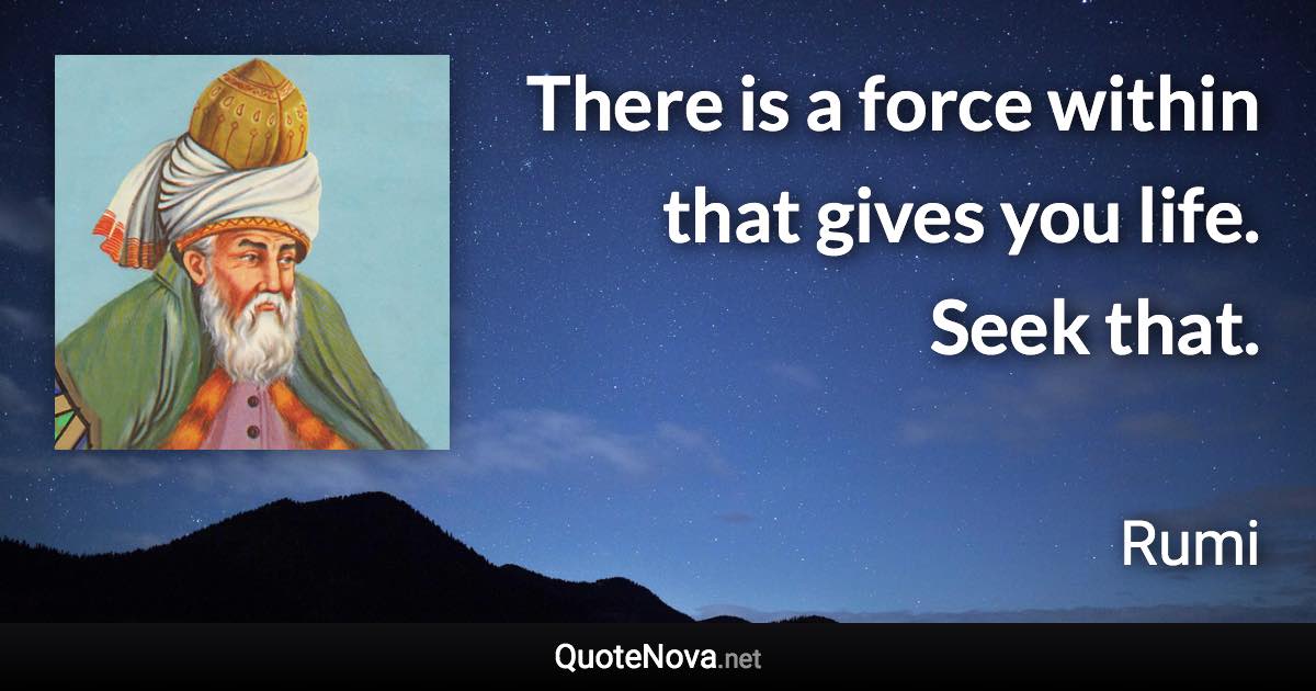 There is a force within that gives you life. Seek that. - Rumi quote