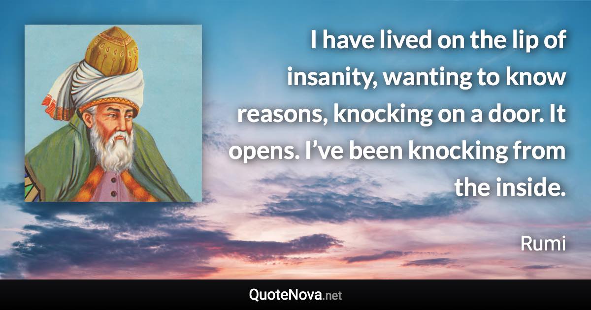 I have lived on the lip of insanity, wanting to know reasons, knocking on a door. It opens. I’ve been knocking from the inside. - Rumi quote