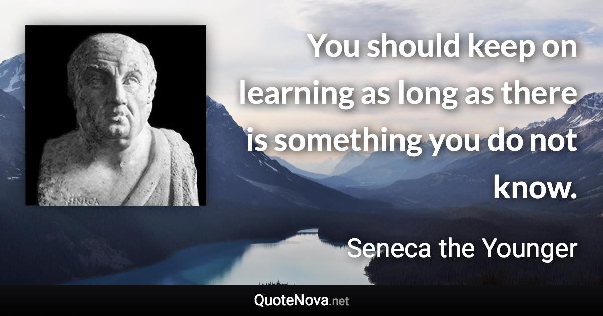 You should keep on learning as long as there is something you do not know. - Seneca the Younger quote