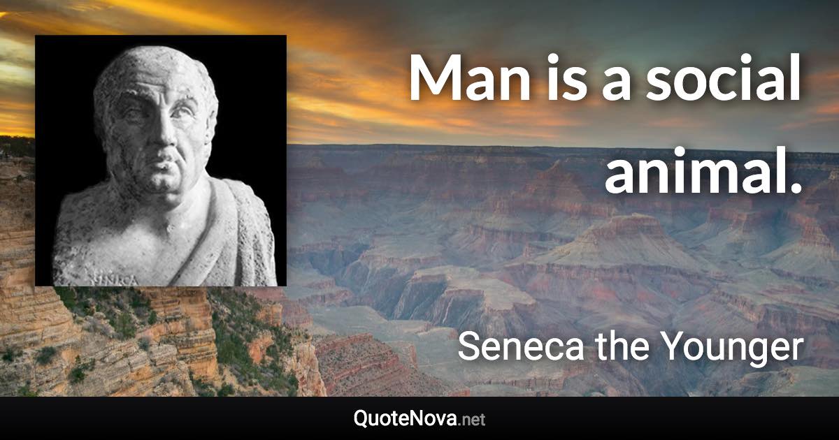 Man is a social animal. - Seneca the Younger quote