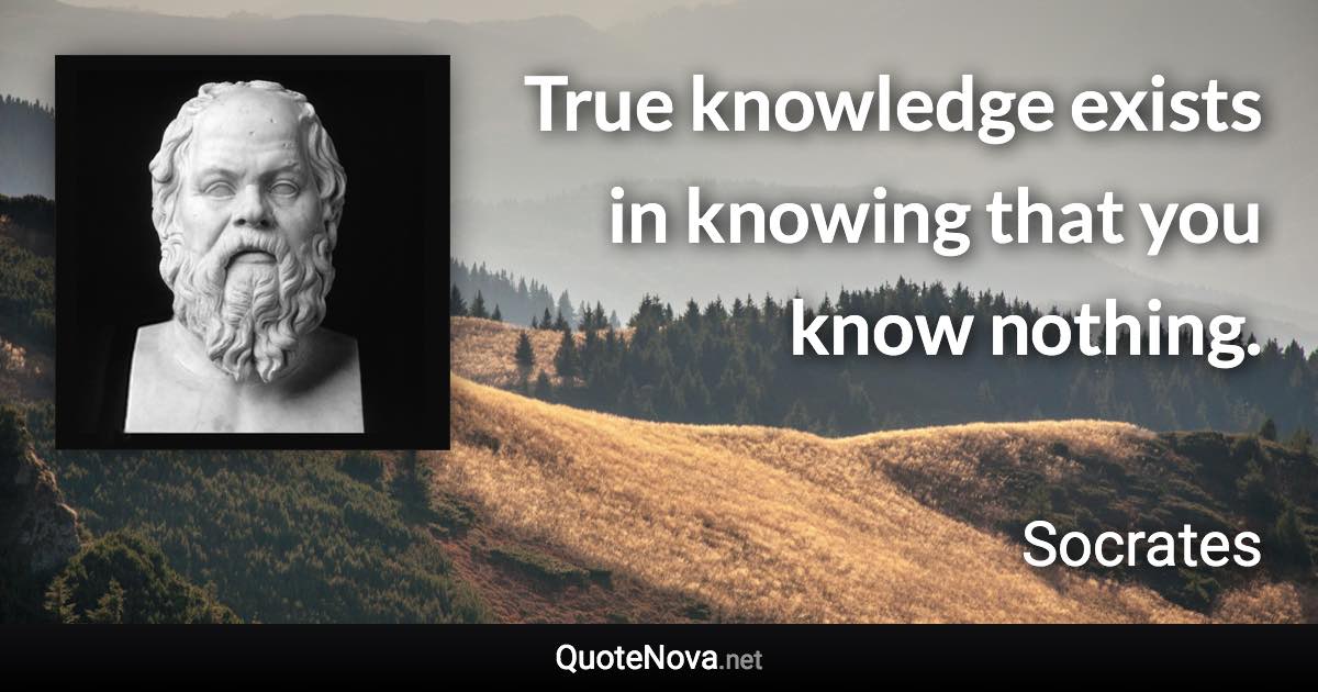 True knowledge exists in knowing that you know nothing. - Socrates quote
