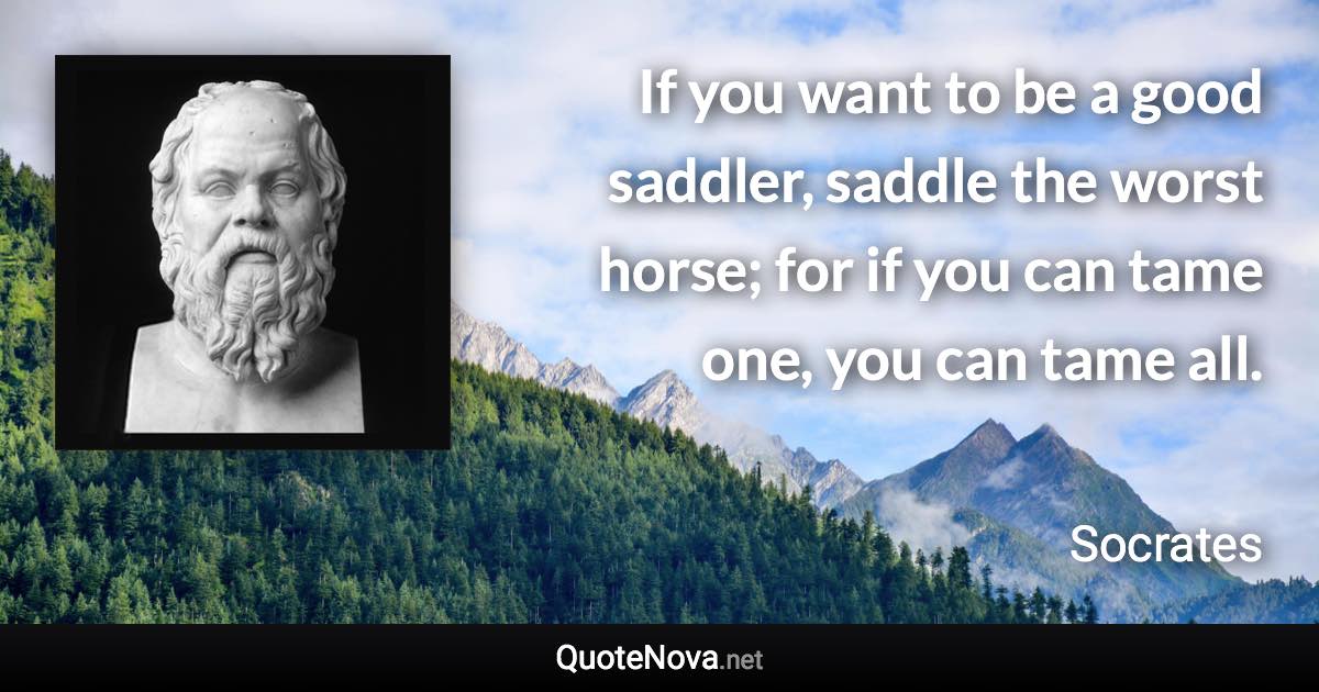 If you want to be a good saddler, saddle the worst horse; for if you can tame one, you can tame all. - Socrates quote