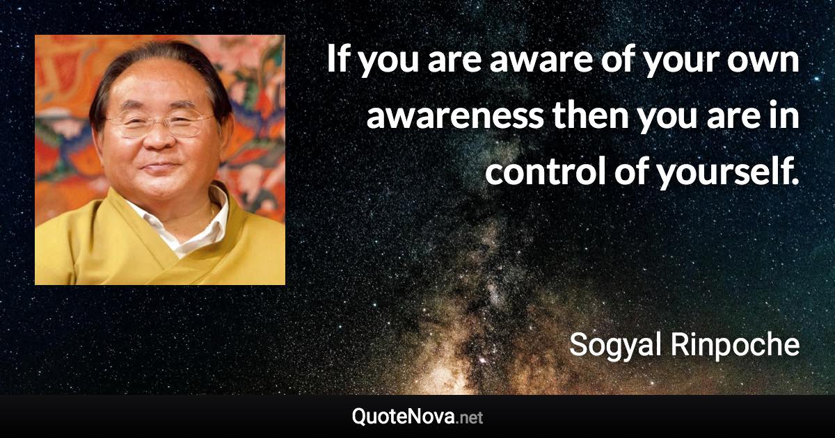 If you are aware of your own awareness then you are in control of yourself. - Sogyal Rinpoche quote