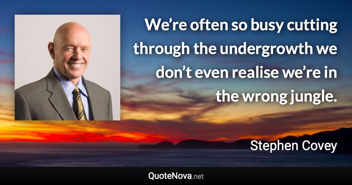 We’re often so busy cutting through the undergrowth we don’t even realise we’re in the wrong jungle. - Stephen Covey quote