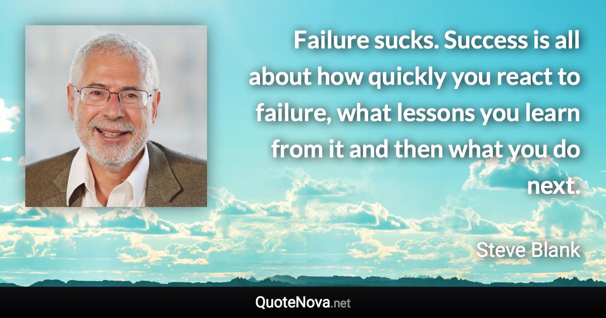 Failure sucks. Success is all about how quickly you react to failure, what lessons you learn from it and then what you do next. - Steve Blank quote