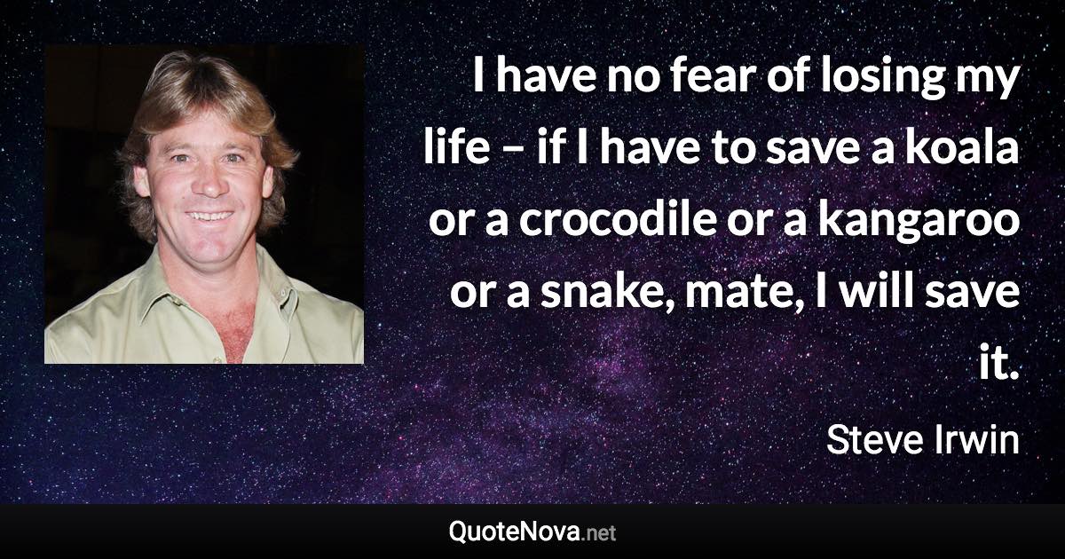 I have no fear of losing my life – if I have to save a koala or a crocodile or a kangaroo or a snake, mate, I will save it. - Steve Irwin quote