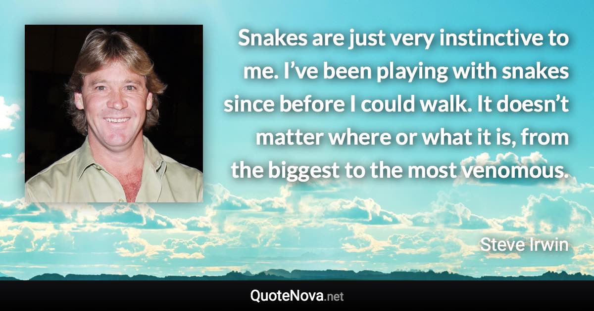 Snakes are just very instinctive to me. I’ve been playing with snakes since before I could walk. It doesn’t matter where or what it is, from the biggest to the most venomous. - Steve Irwin quote