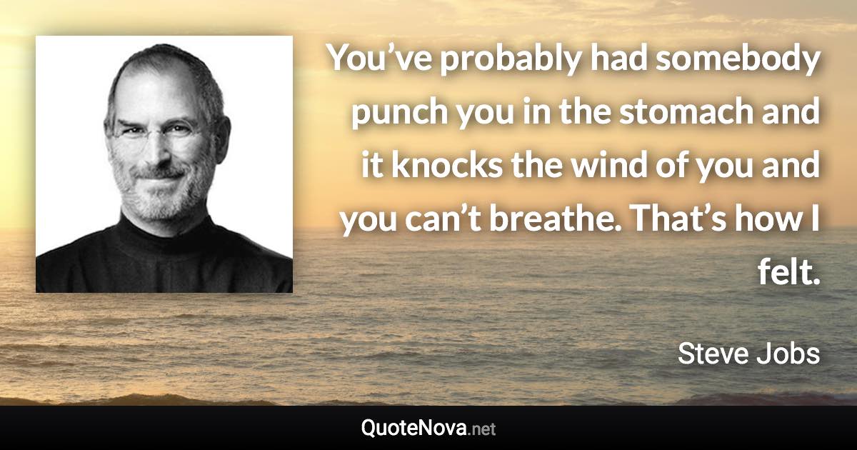 You’ve probably had somebody punch you in the stomach and it knocks the wind of you and you can’t breathe. That’s how I felt. - Steve Jobs quote