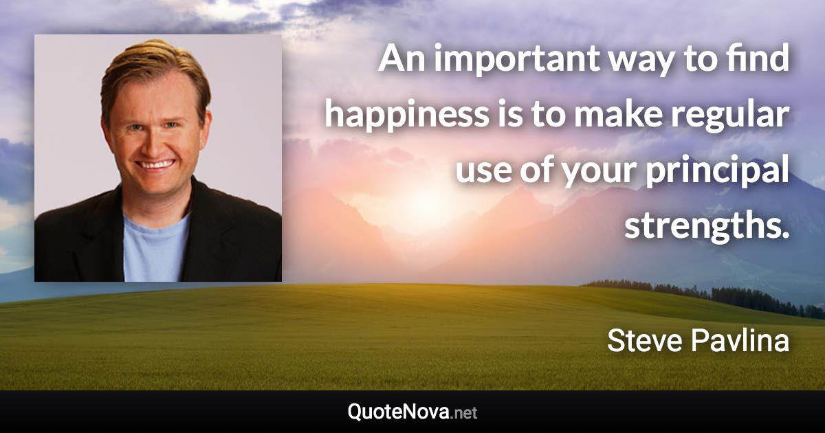 An important way to find happiness is to make regular use of your principal strengths. - Steve Pavlina quote