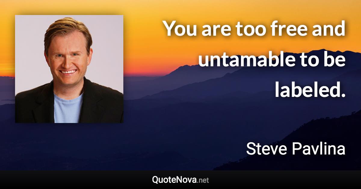 You are too free and untamable to be labeled. - Steve Pavlina quote