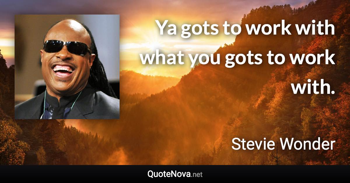 Ya gots to work with what you gots to work with. - Stevie Wonder quote