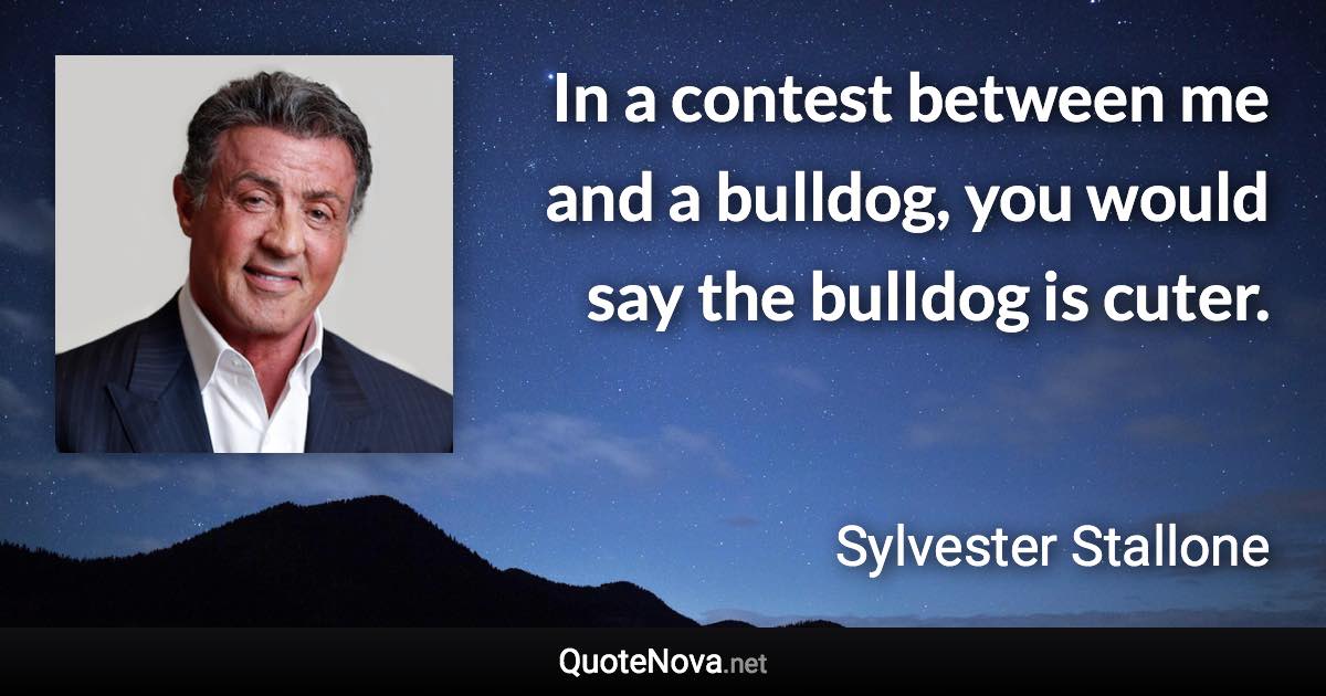 In a contest between me and a bulldog, you would say the bulldog is cuter. - Sylvester Stallone quote