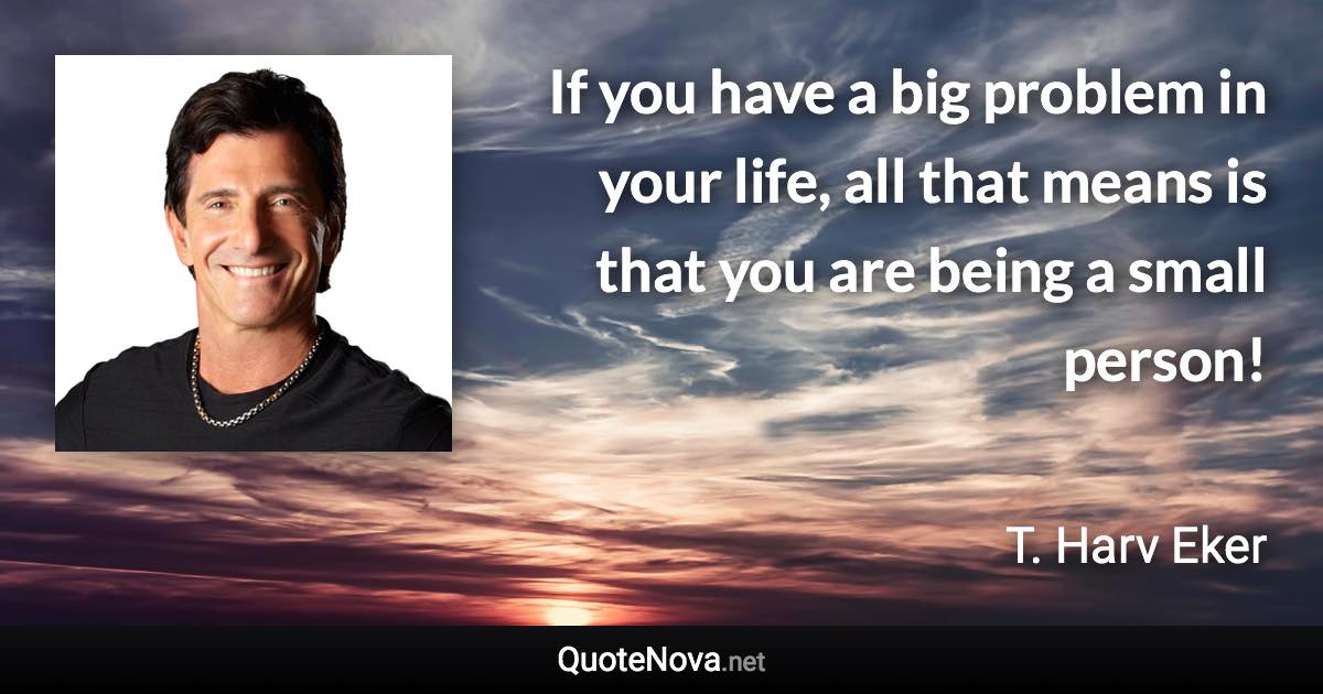 If you have a big problem in your life, all that means is that you are being a small person! - T. Harv Eker quote