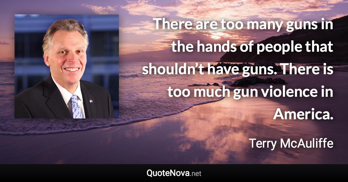 There are too many guns in the hands of people that shouldn’t have guns. There is too much gun violence in America. - Terry McAuliffe quote