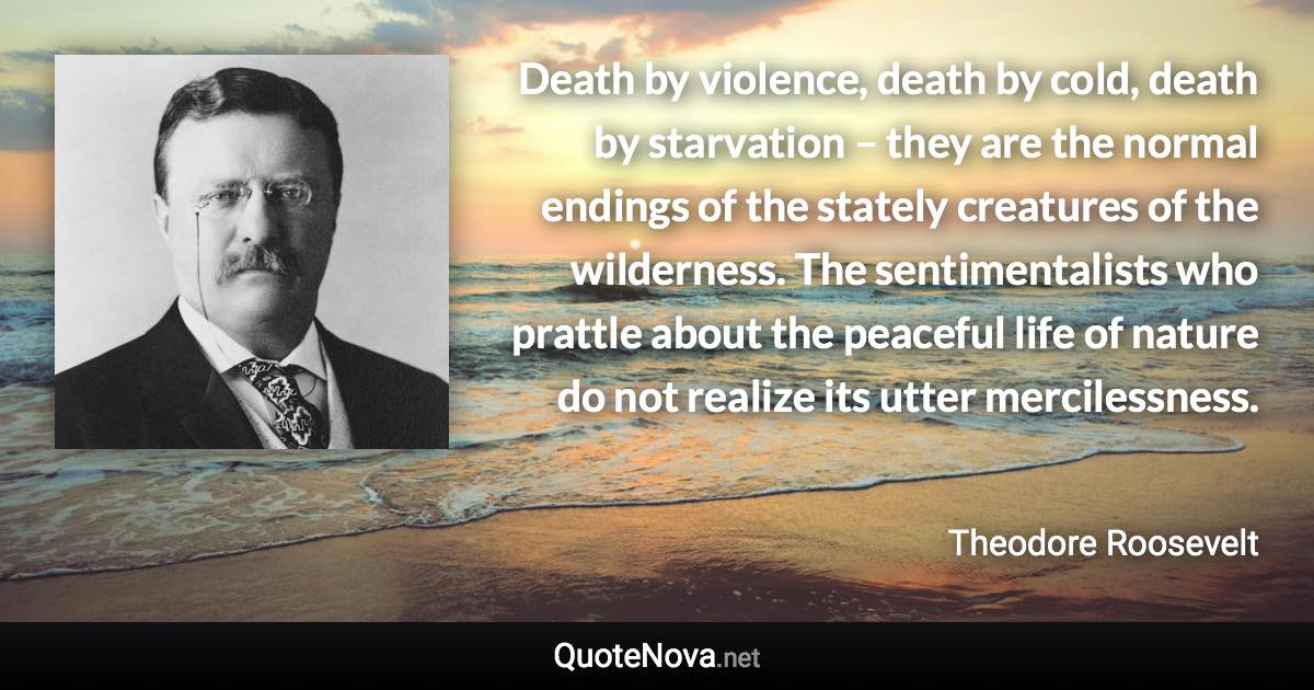 Death by violence, death by cold, death by starvation – they are the normal endings of the stately creatures of the wilderness. The sentimentalists who prattle about the peaceful life of nature do not realize its utter mercilessness. - Theodore Roosevelt quote