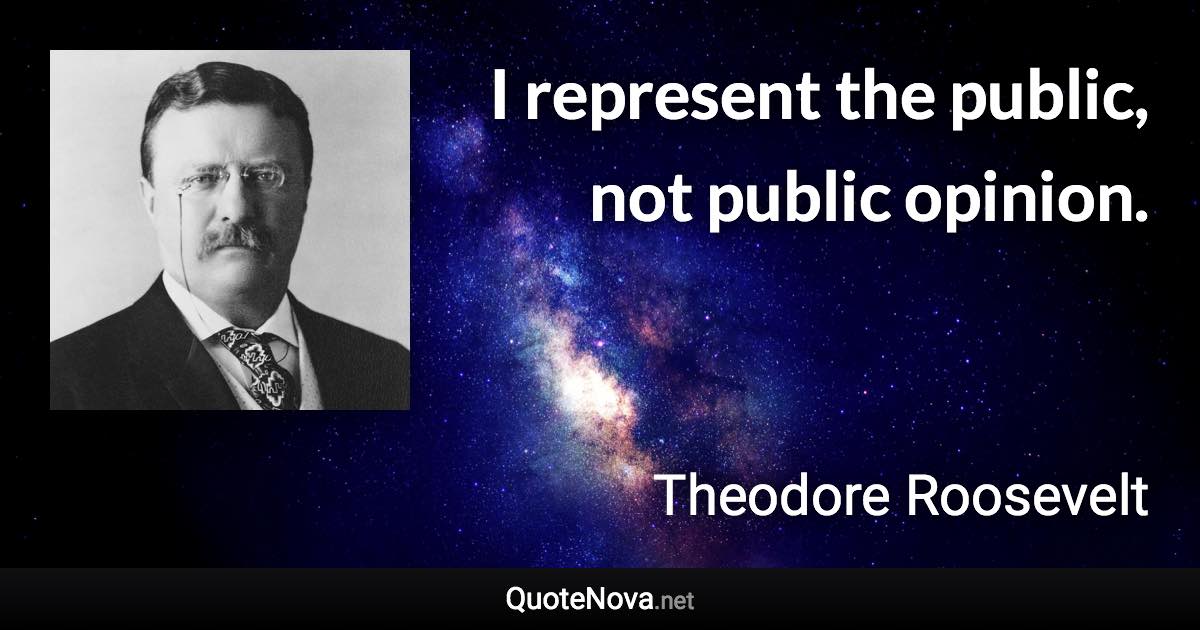 I represent the public, not public opinion. - Theodore Roosevelt quote