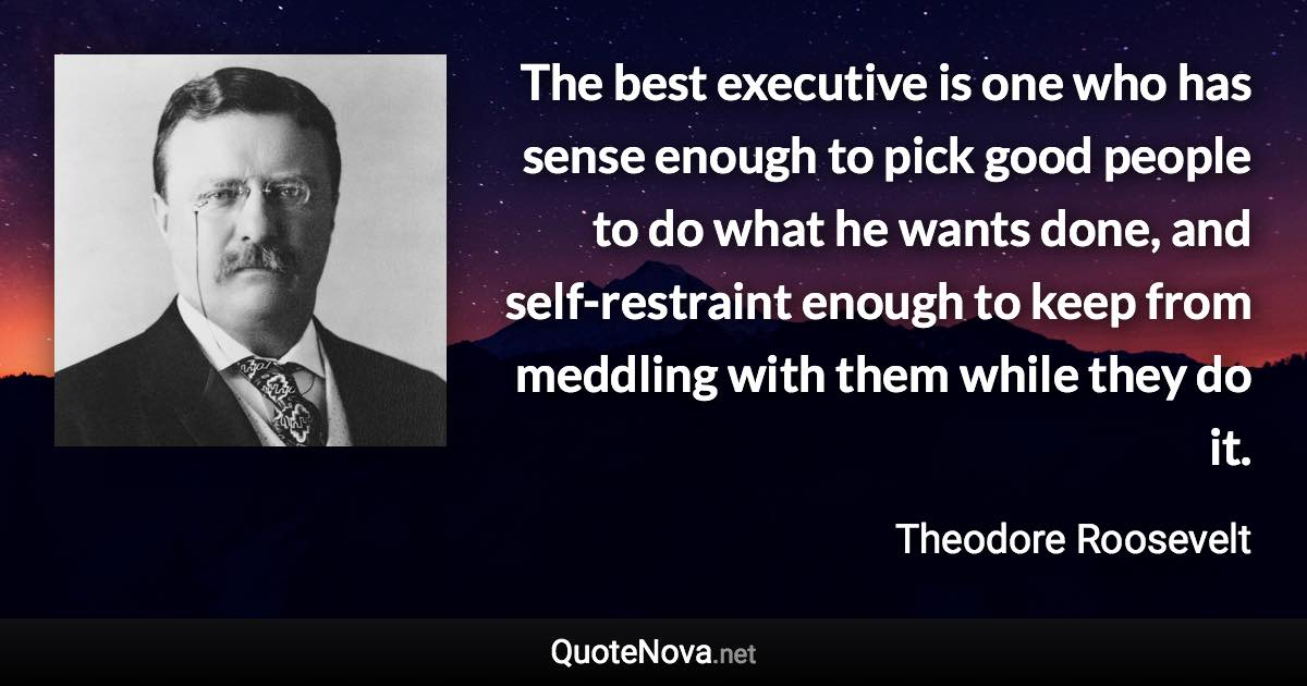 The best executive is one who has sense enough to pick good people to do what he wants done, and self-restraint enough to keep from meddling with them while they do it. - Theodore Roosevelt quote