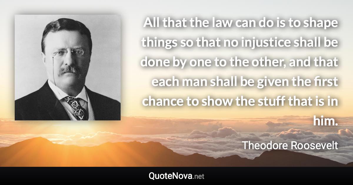 All that the law can do is to shape things so that no injustice shall be done by one to the other, and that each man shall be given the first chance to show the stuff that is in him. - Theodore Roosevelt quote