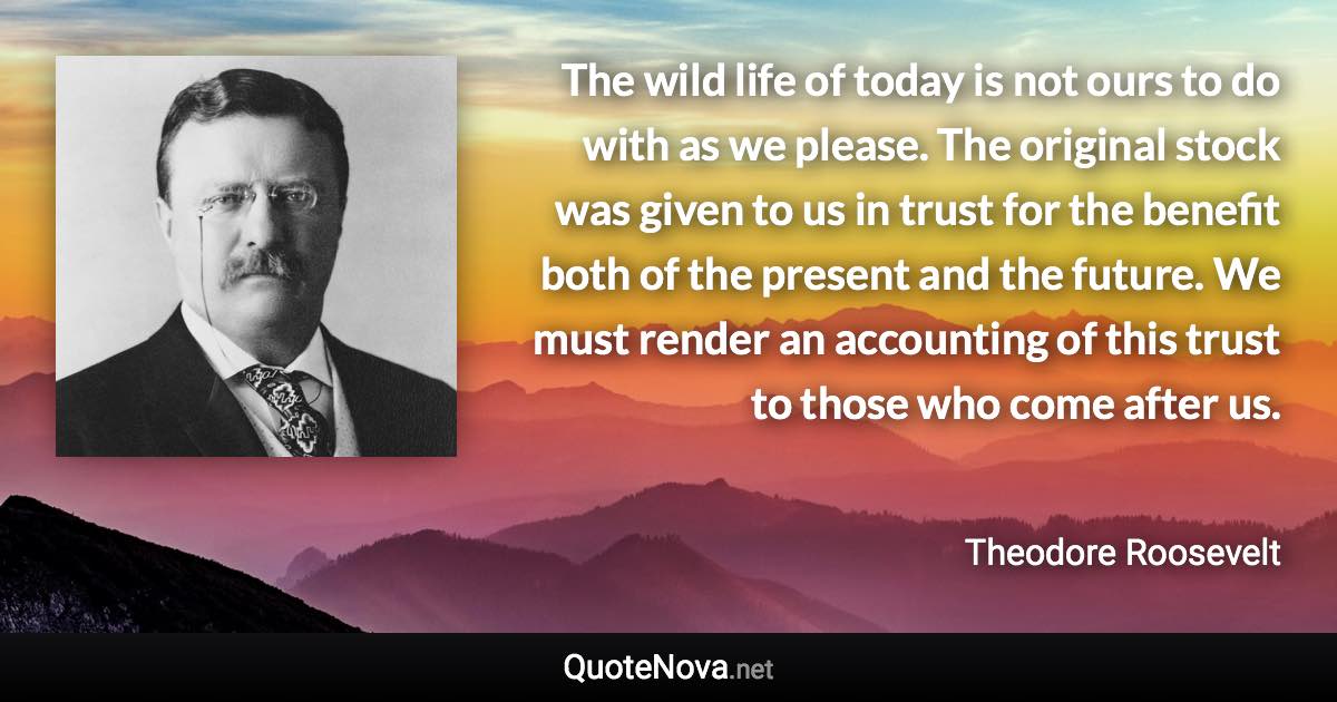 The wild life of today is not ours to do with as we please. The original stock was given to us in trust for the benefit both of the present and the future. We must render an accounting of this trust to those who come after us. - Theodore Roosevelt quote