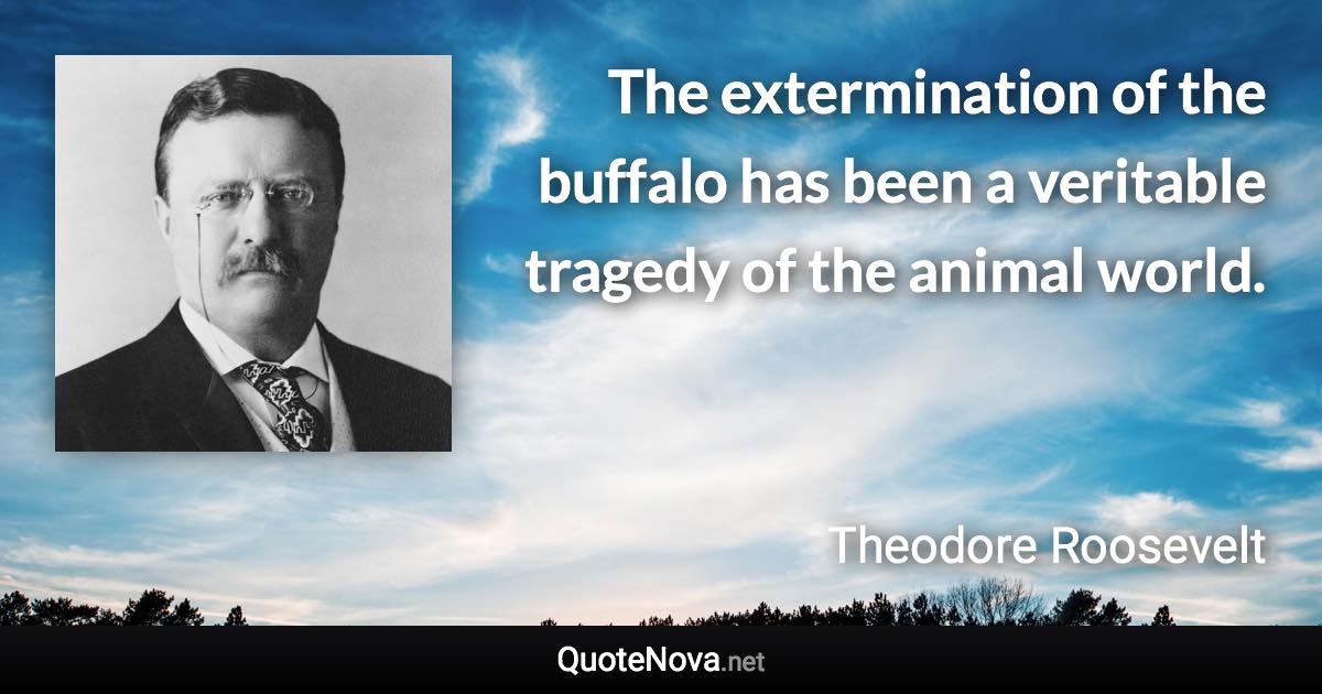 The extermination of the buffalo has been a veritable tragedy of the animal world. - Theodore Roosevelt quote