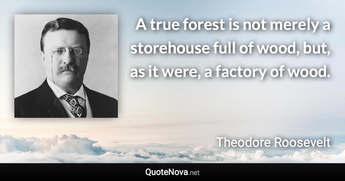 A true forest is not merely a storehouse full of wood, but, as it were, a factory of wood. - Theodore Roosevelt quote