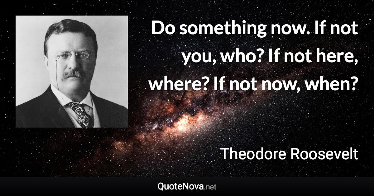 Do something now. If not you, who? If not here, where? If not now, when? - Theodore Roosevelt quote