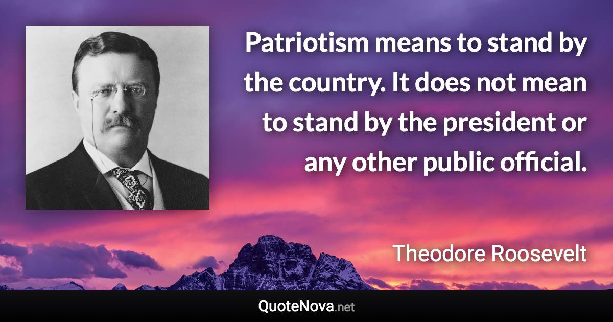 Patriotism means to stand by the country. It does not mean to stand by the president or any other public official. - Theodore Roosevelt quote