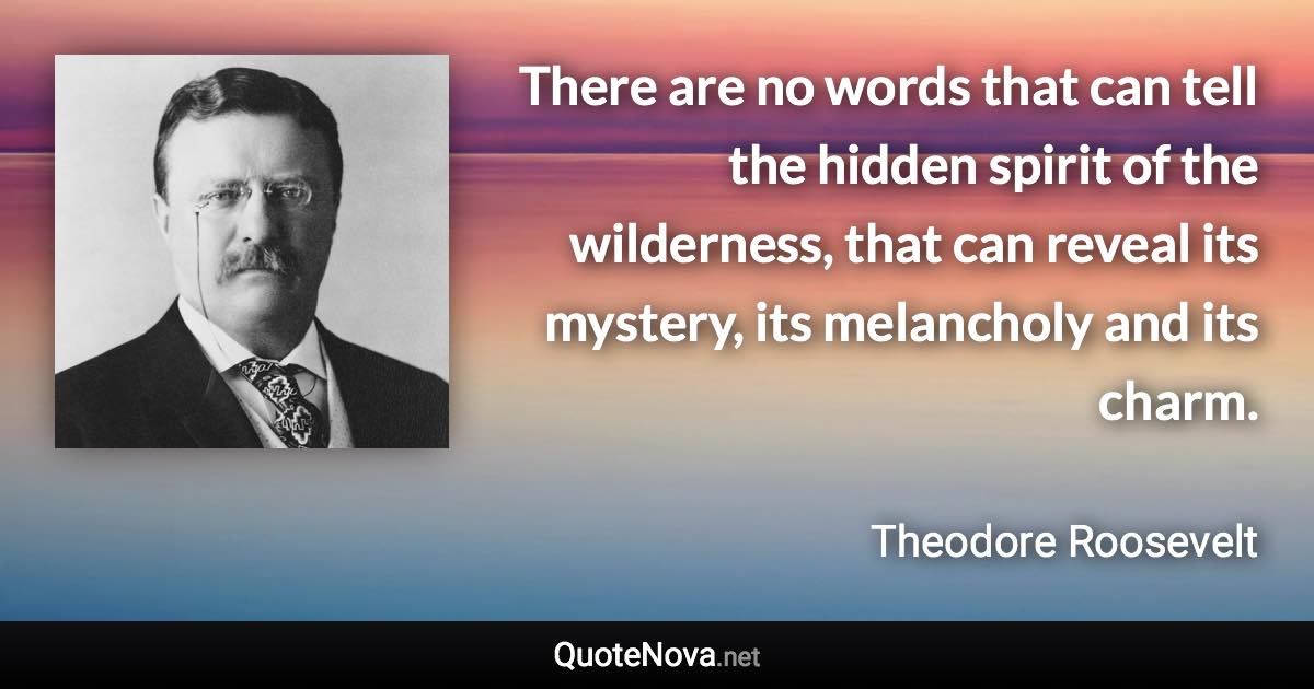 There are no words that can tell the hidden spirit of the wilderness, that can reveal its mystery, its melancholy and its charm. - Theodore Roosevelt quote